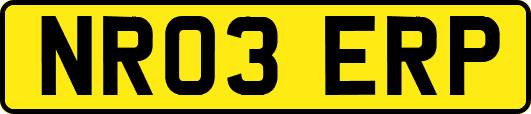 NR03ERP