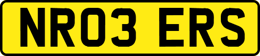 NR03ERS