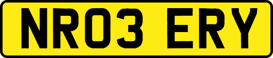 NR03ERY