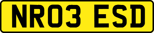 NR03ESD