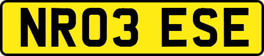 NR03ESE