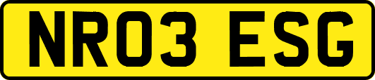 NR03ESG