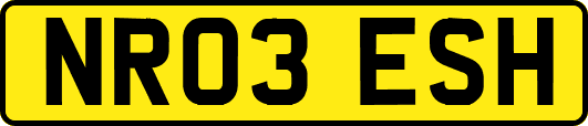 NR03ESH