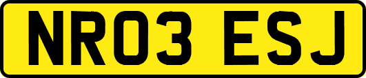 NR03ESJ