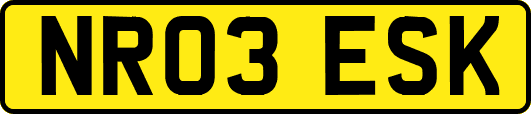 NR03ESK