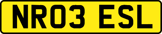 NR03ESL