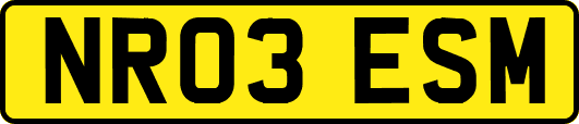 NR03ESM