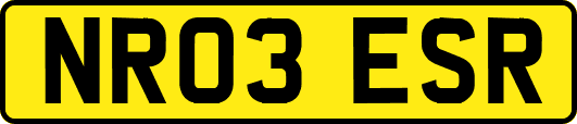 NR03ESR
