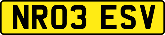 NR03ESV