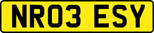 NR03ESY