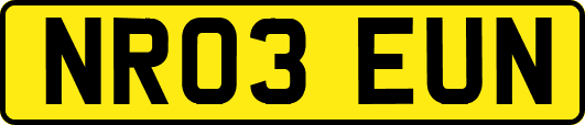 NR03EUN