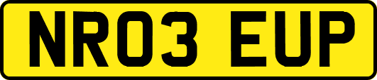 NR03EUP