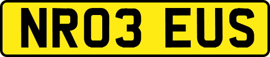 NR03EUS