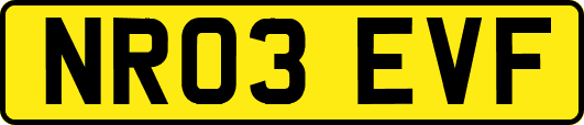 NR03EVF