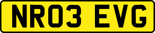 NR03EVG
