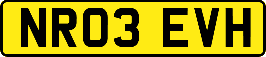 NR03EVH