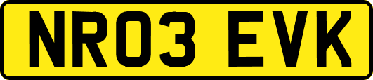 NR03EVK