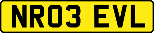 NR03EVL
