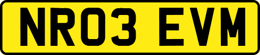 NR03EVM