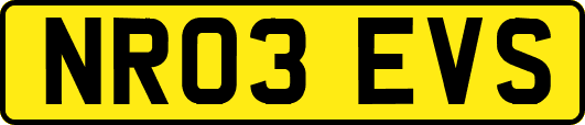 NR03EVS