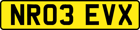 NR03EVX