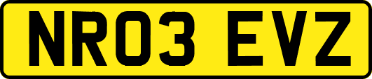 NR03EVZ