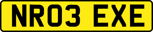 NR03EXE