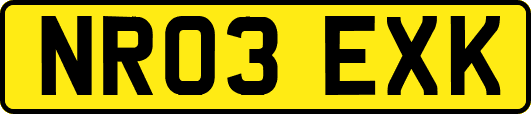 NR03EXK