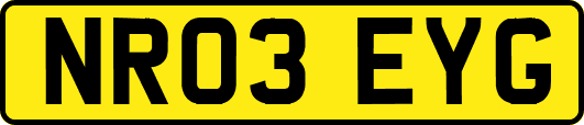 NR03EYG