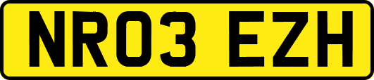 NR03EZH