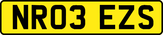 NR03EZS