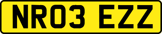NR03EZZ