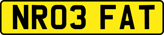 NR03FAT