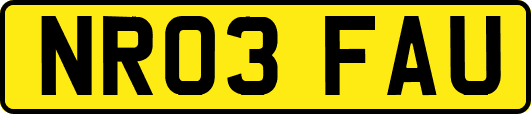NR03FAU