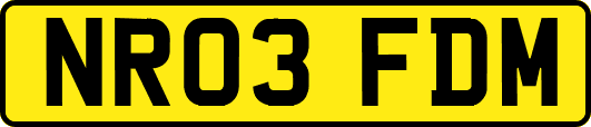 NR03FDM