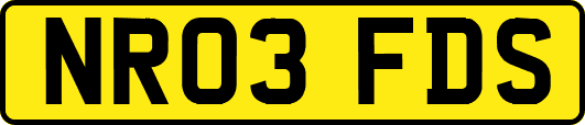 NR03FDS