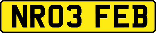 NR03FEB