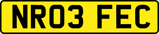 NR03FEC