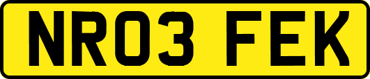 NR03FEK