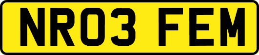 NR03FEM