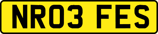 NR03FES