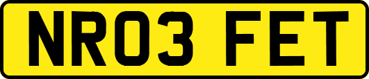 NR03FET