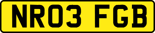 NR03FGB