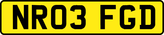 NR03FGD