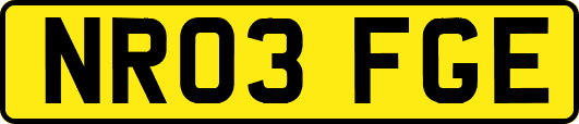 NR03FGE