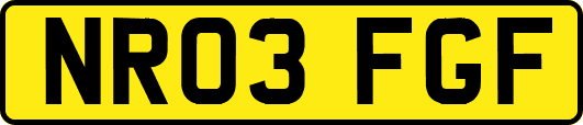 NR03FGF