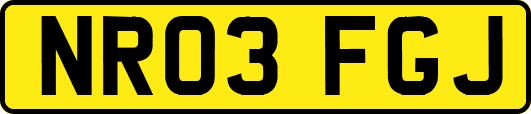 NR03FGJ
