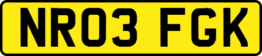 NR03FGK