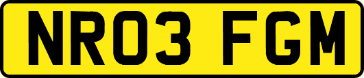 NR03FGM