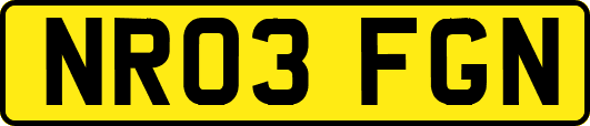NR03FGN